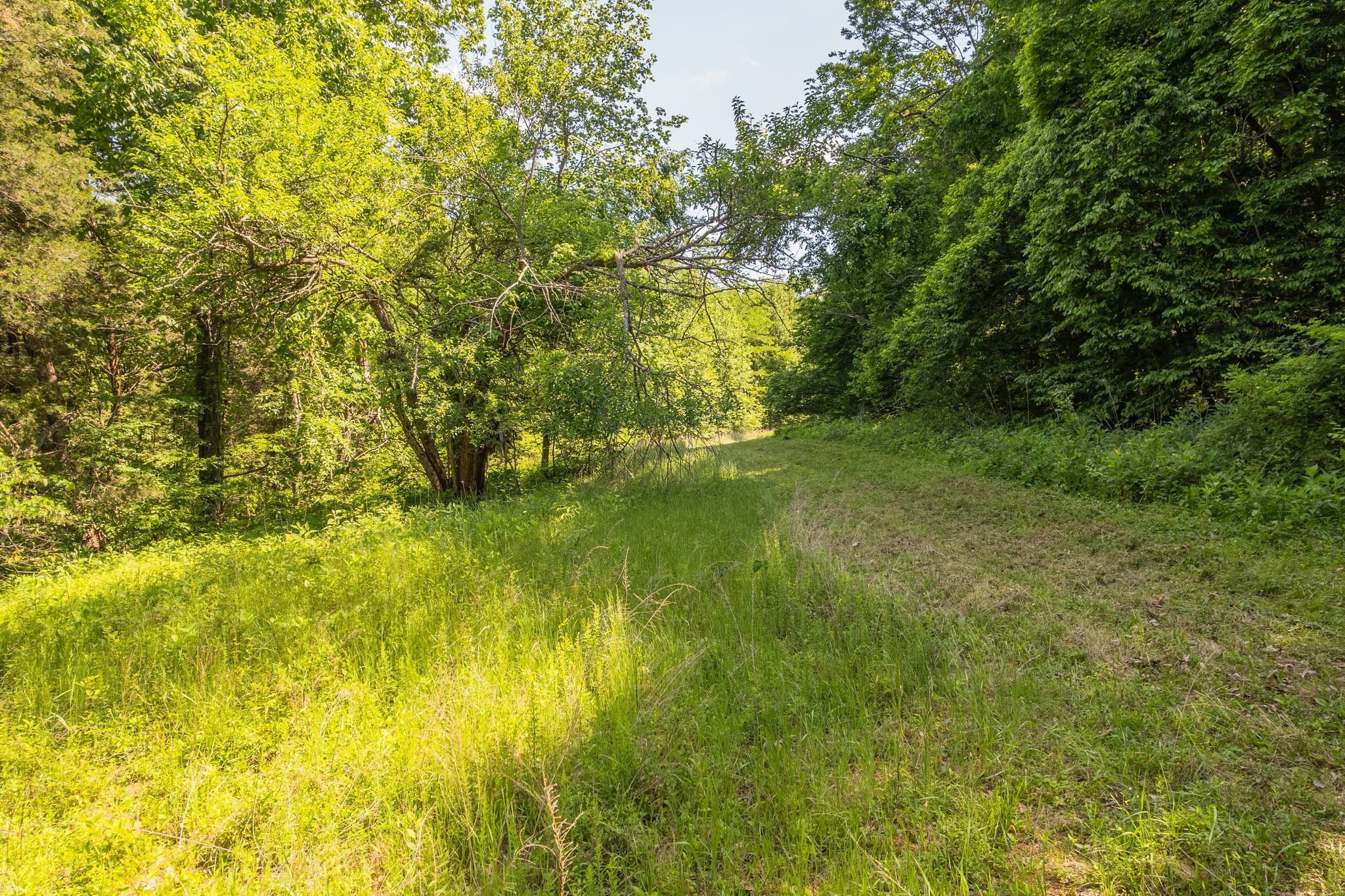 0 Haze Hyde Hollow Road Bethpage TN 37022