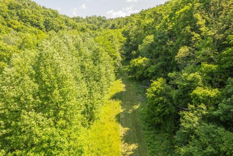 0 Haze Hyde Hollow Road Bethpage TN 37022
