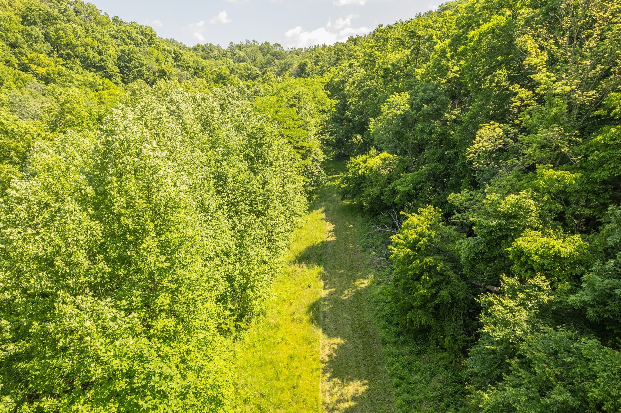 0 Haze Hyde Hollow Road Bethpage TN 37022