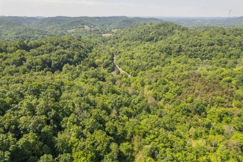 0 Haze Hyde Hollow Road Bethpage TN 37022