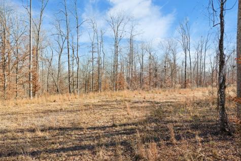 0 Holladay Road Parsons TN 38363