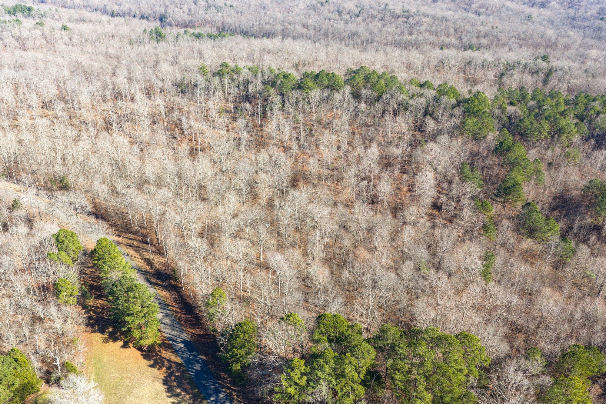 0 Holladay Road Parsons TN 38363