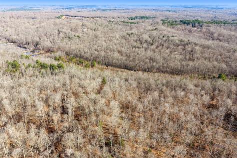0 Holladay Road Parsons TN 38363