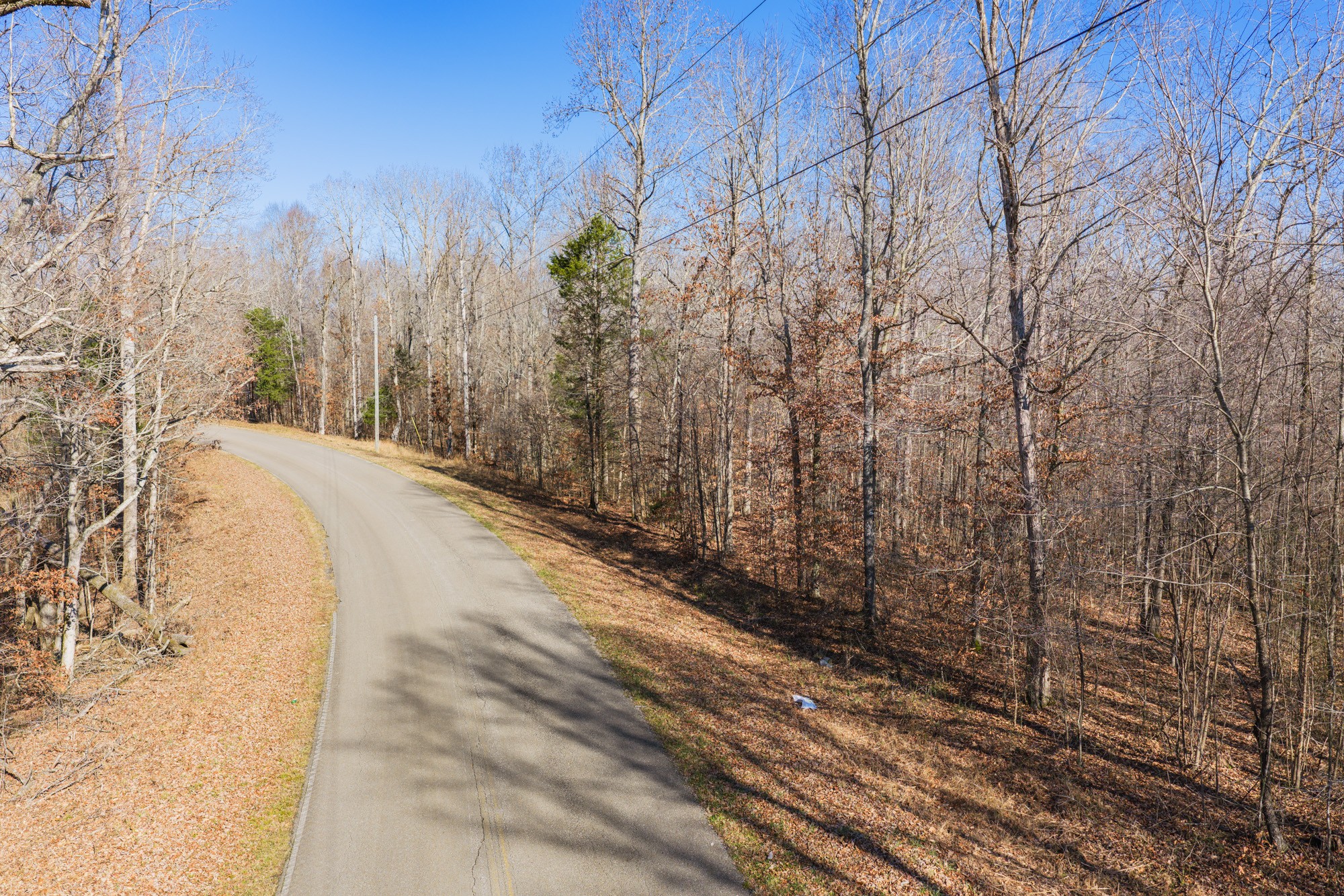 0 Holladay Road Parsons TN 38363