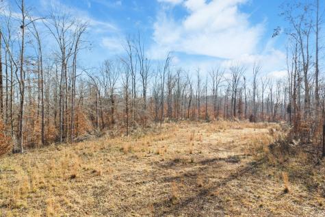 0 Holladay Road Parsons TN 38363