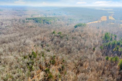 0 Holladay Road Parsons TN 38363
