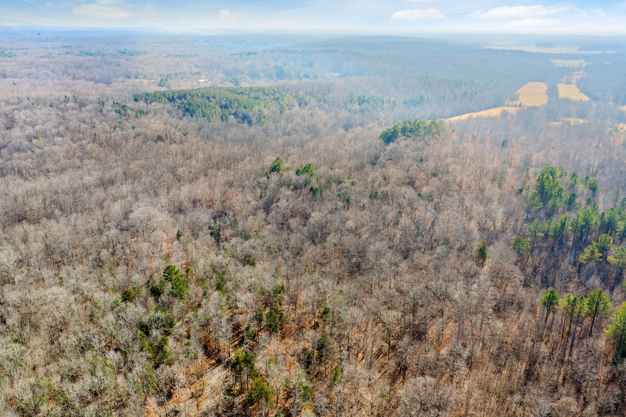 0 Holladay Road Parsons TN 38363