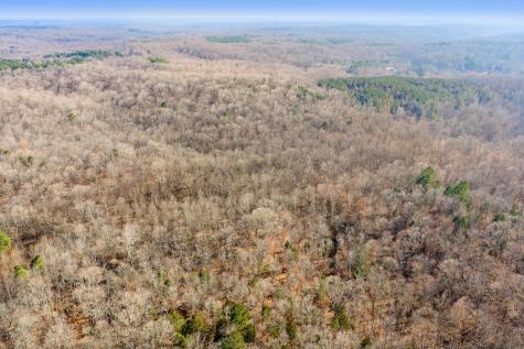 0 Holladay Road Parsons TN 38363