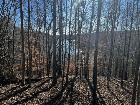 0 Overlook Circle Tullahoma TN 37388