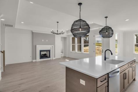 207 Phillips Bend Spring Hill TN 37174