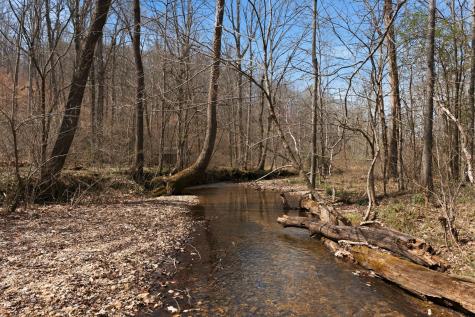 0 Cave Branch Road Dickson TN 37055