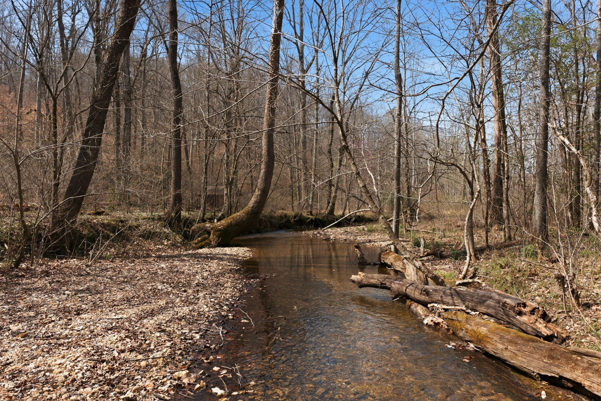 0 Cave Branch Road Dickson TN 37055