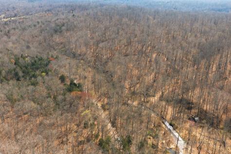 0 Cave Branch Road Dickson TN 37055