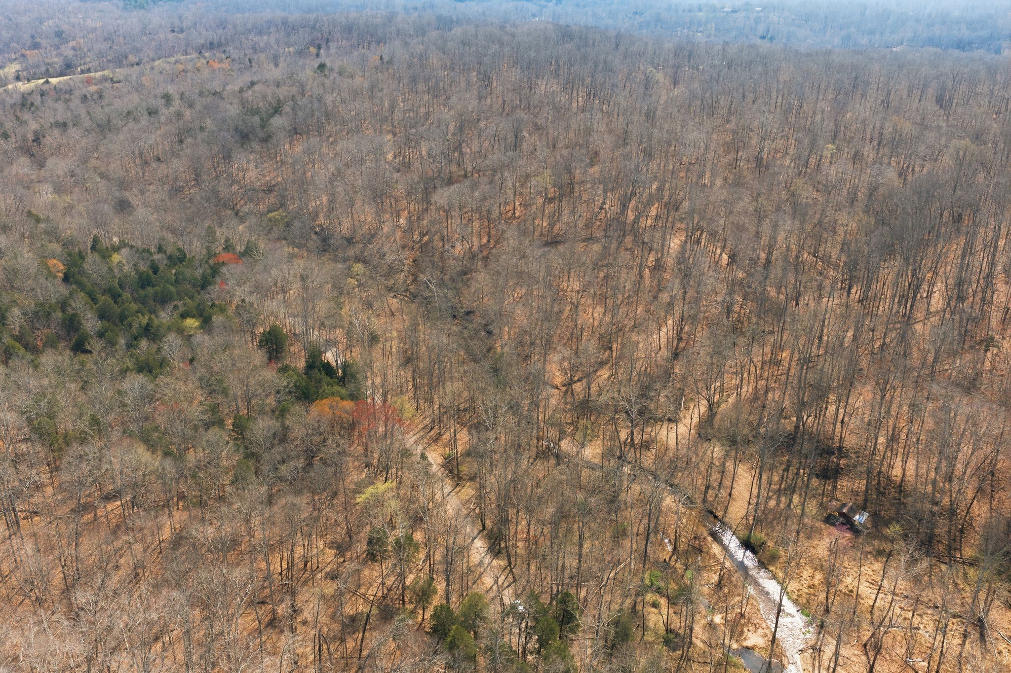 0 Cave Branch Road Dickson TN 37055