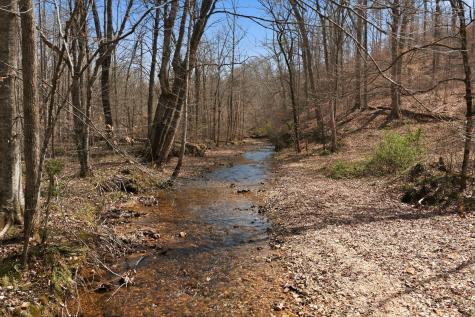 0 Cave Branch Road Dickson TN 37055