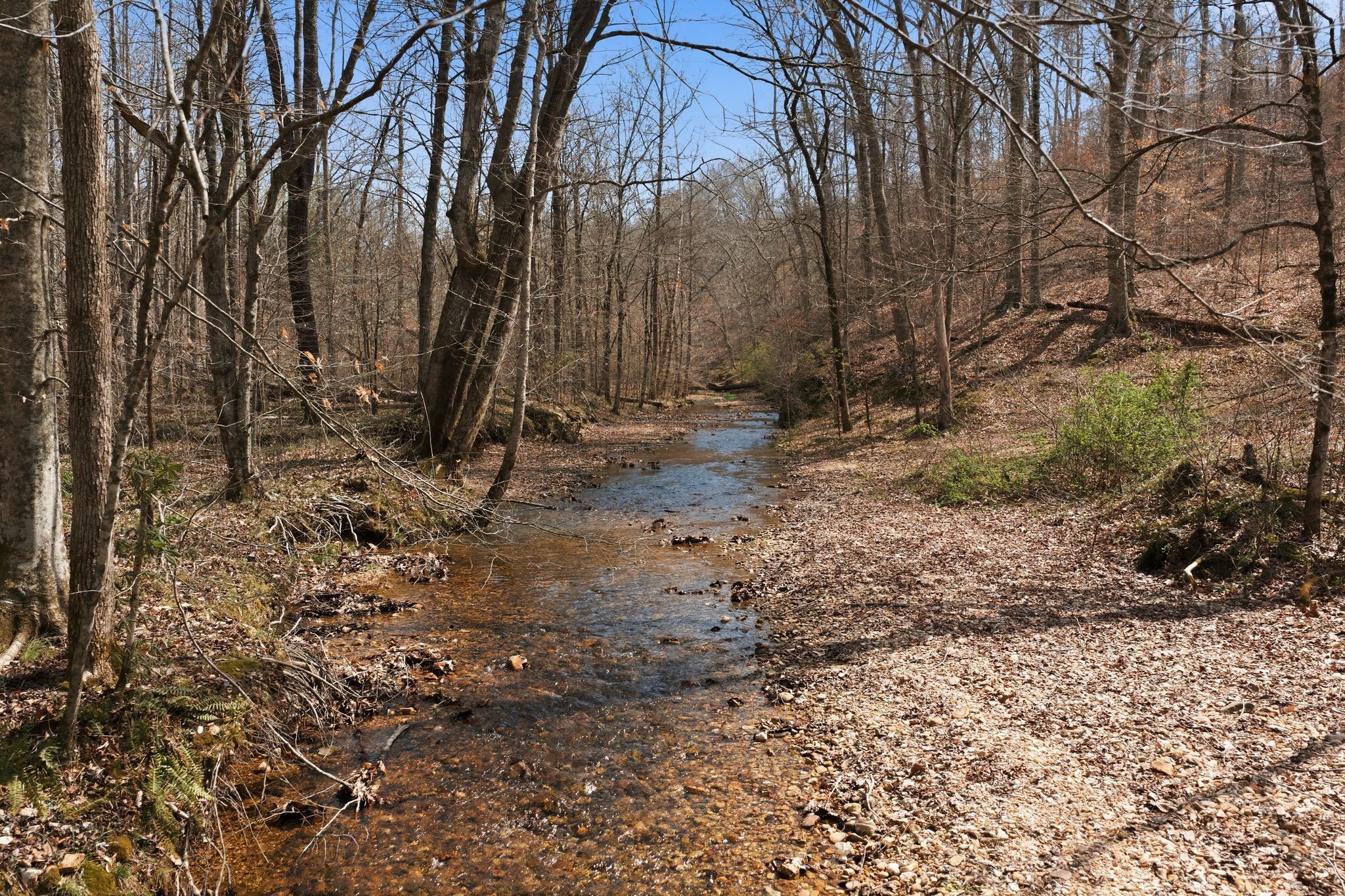 0 Cave Branch Road Dickson TN 37055