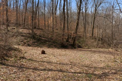 0 Cave Branch Road Dickson TN 37055