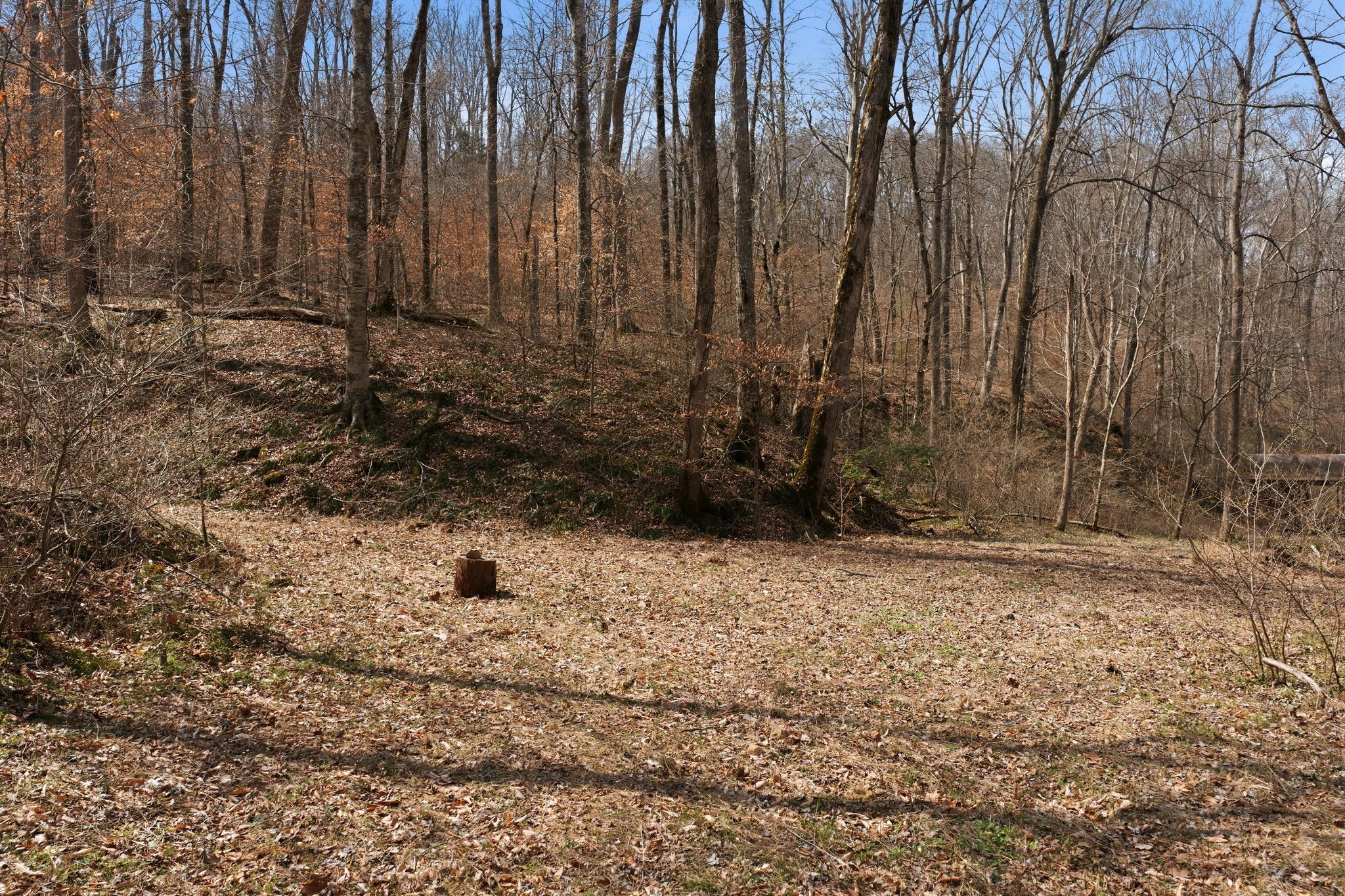 0 Cave Branch Road Dickson TN 37055