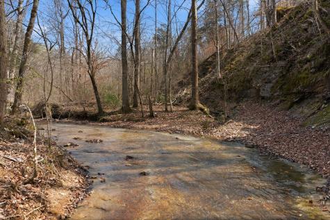 0 Cave Branch Road Dickson TN 37055