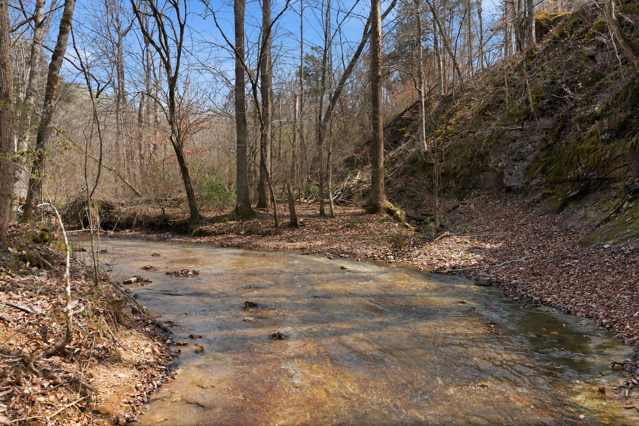 0 Cave Branch Road Dickson TN 37055