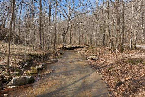 0 Cave Branch Road Dickson TN 37055