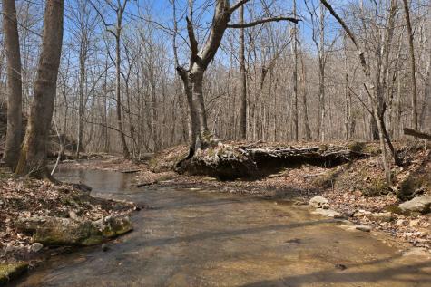 0 Cave Branch Road Dickson TN 37055