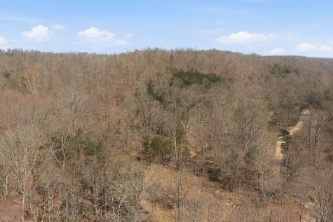 0 Cave Branch Road Dickson TN 37055
