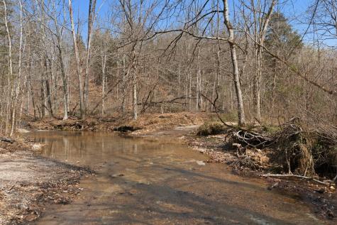 0 Cave Branch Road Dickson TN 37055
