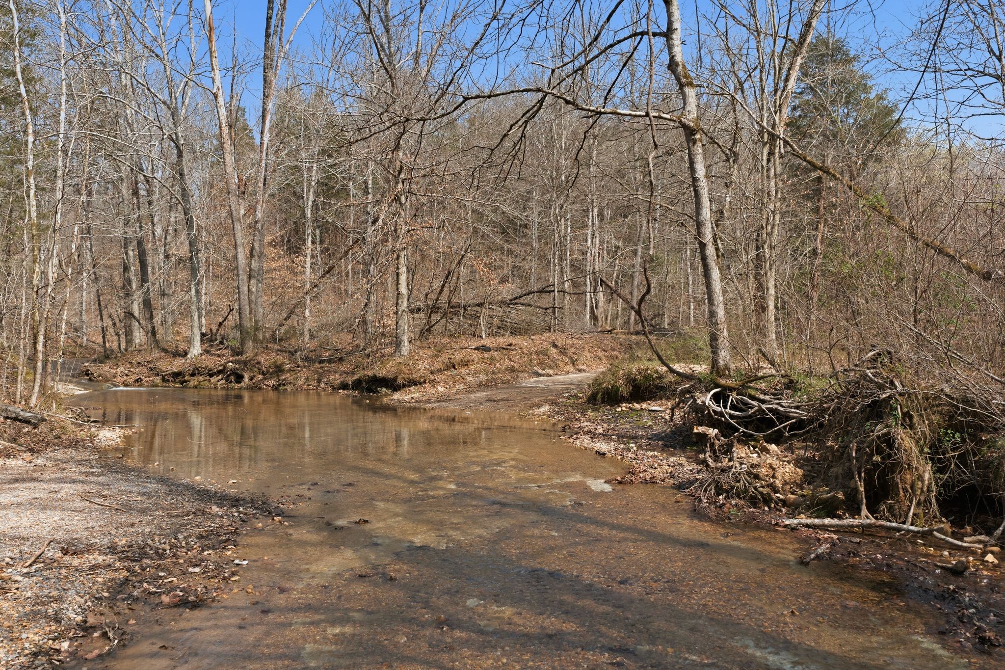 0 Cave Branch Road Dickson TN 37055