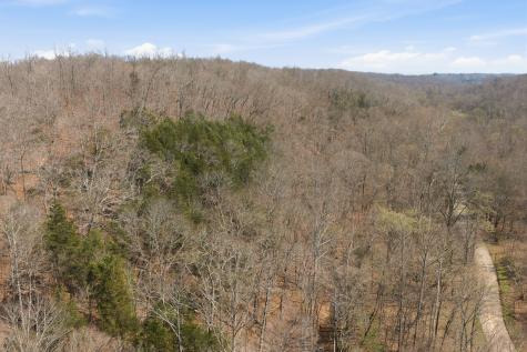 0 Cave Branch Road Dickson TN 37055