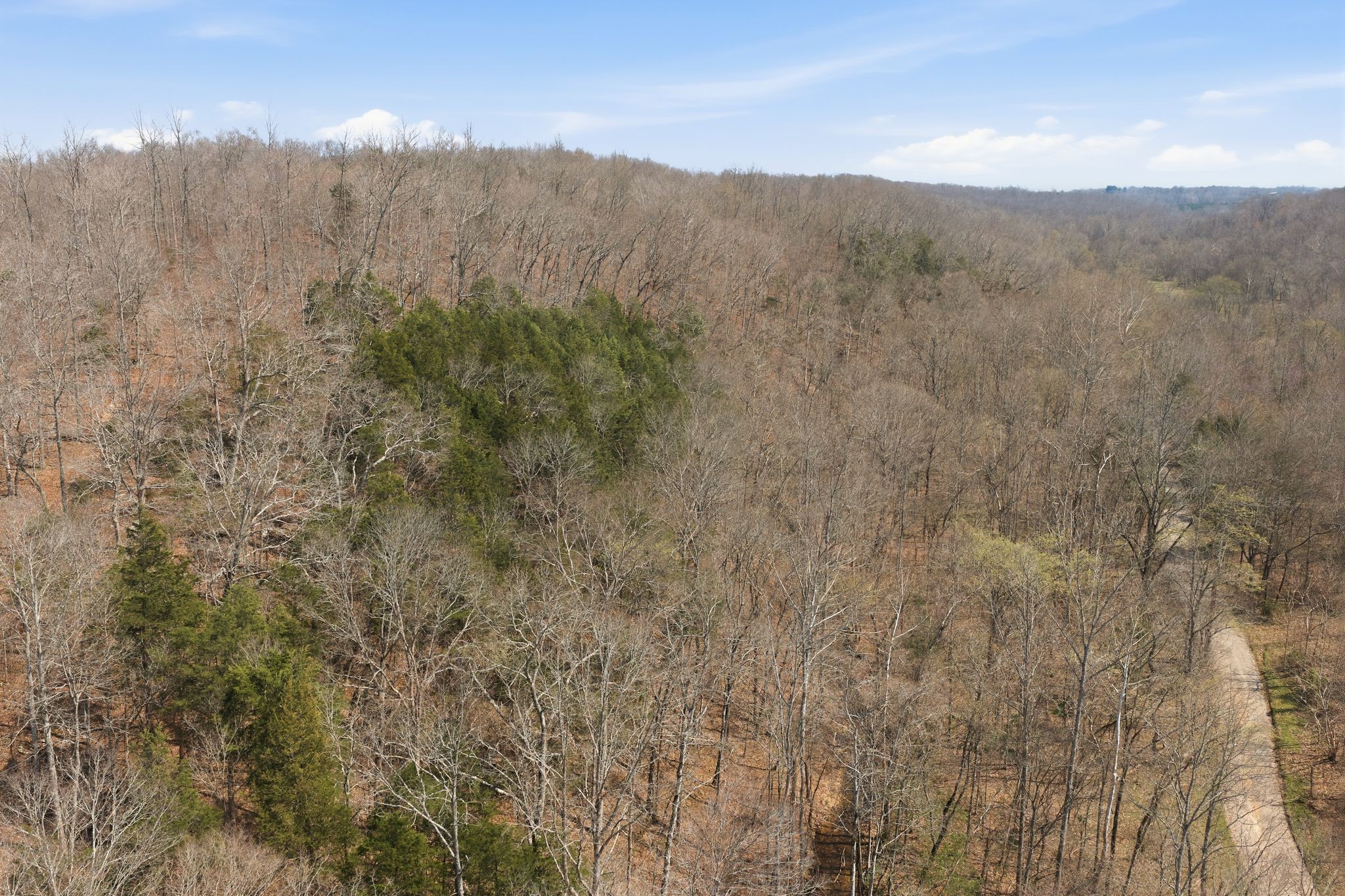 0 Cave Branch Road Dickson TN 37055