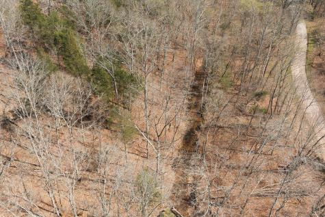 0 Cave Branch Road Dickson TN 37055