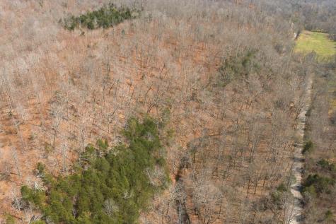 0 Cave Branch Road Dickson TN 37055
