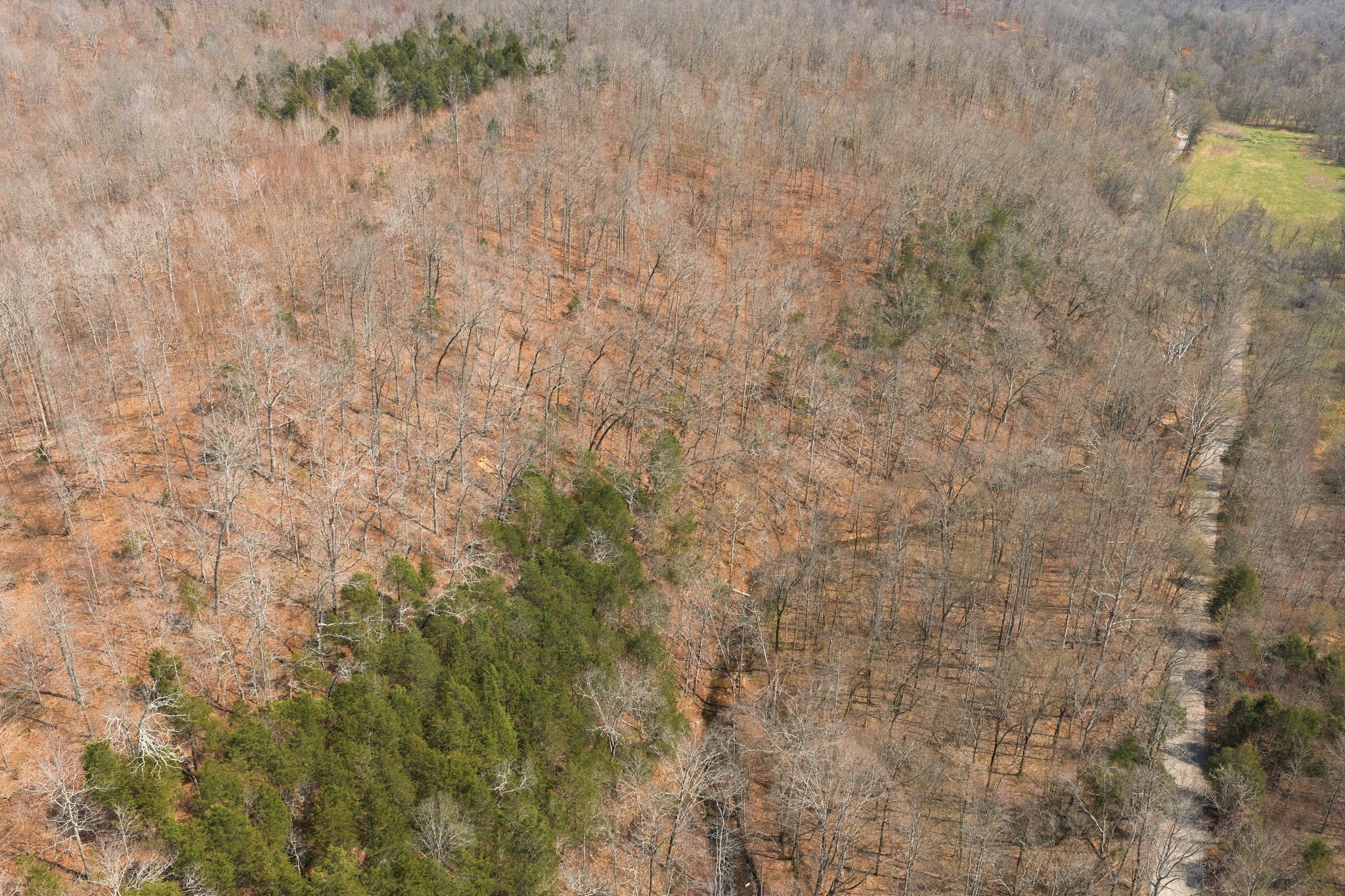 0 Cave Branch Road Dickson TN 37055