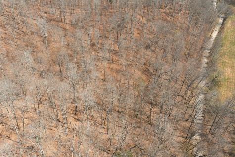 0 Cave Branch Road Dickson TN 37055
