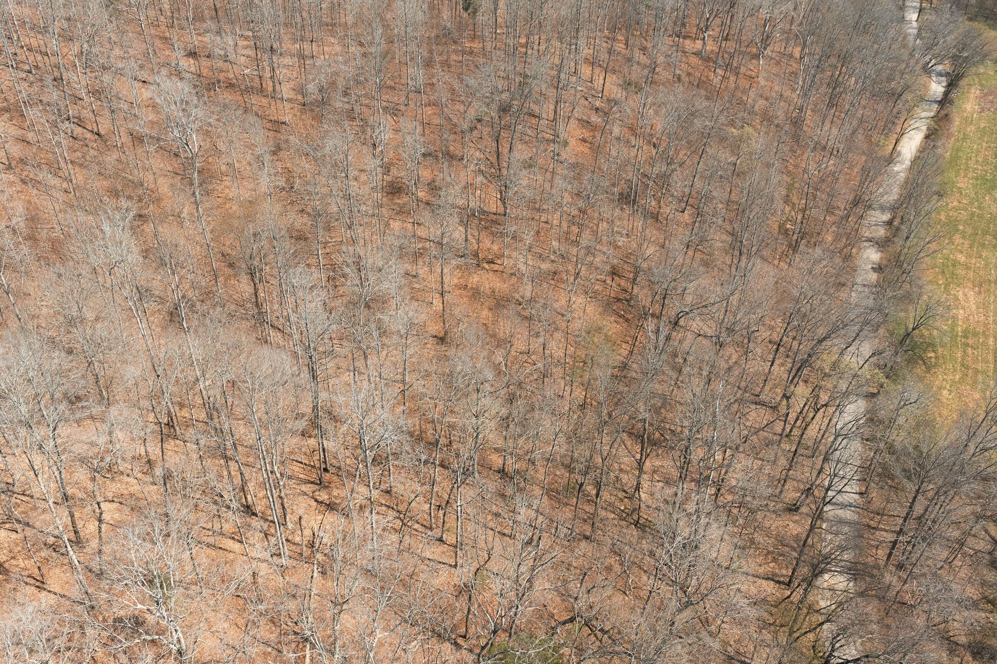 0 Cave Branch Road Dickson TN 37055