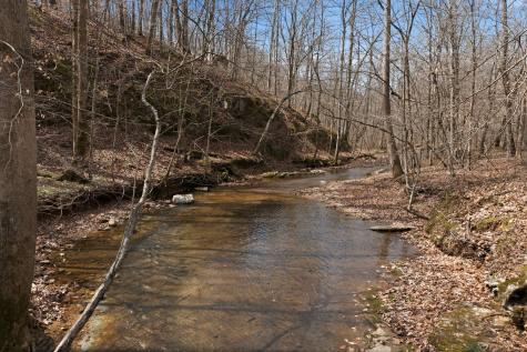 0 Cave Branch Road Dickson TN 37055