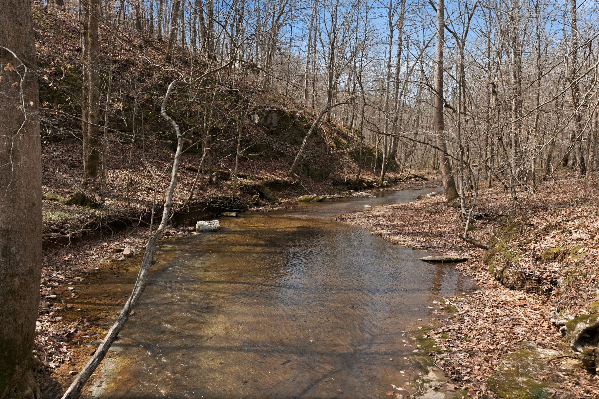 0 Cave Branch Road Dickson TN 37055