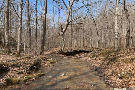 0 Cave Branch Road Dickson TN 37055