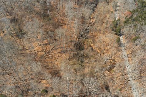 0 Cave Branch Road Dickson TN 37055