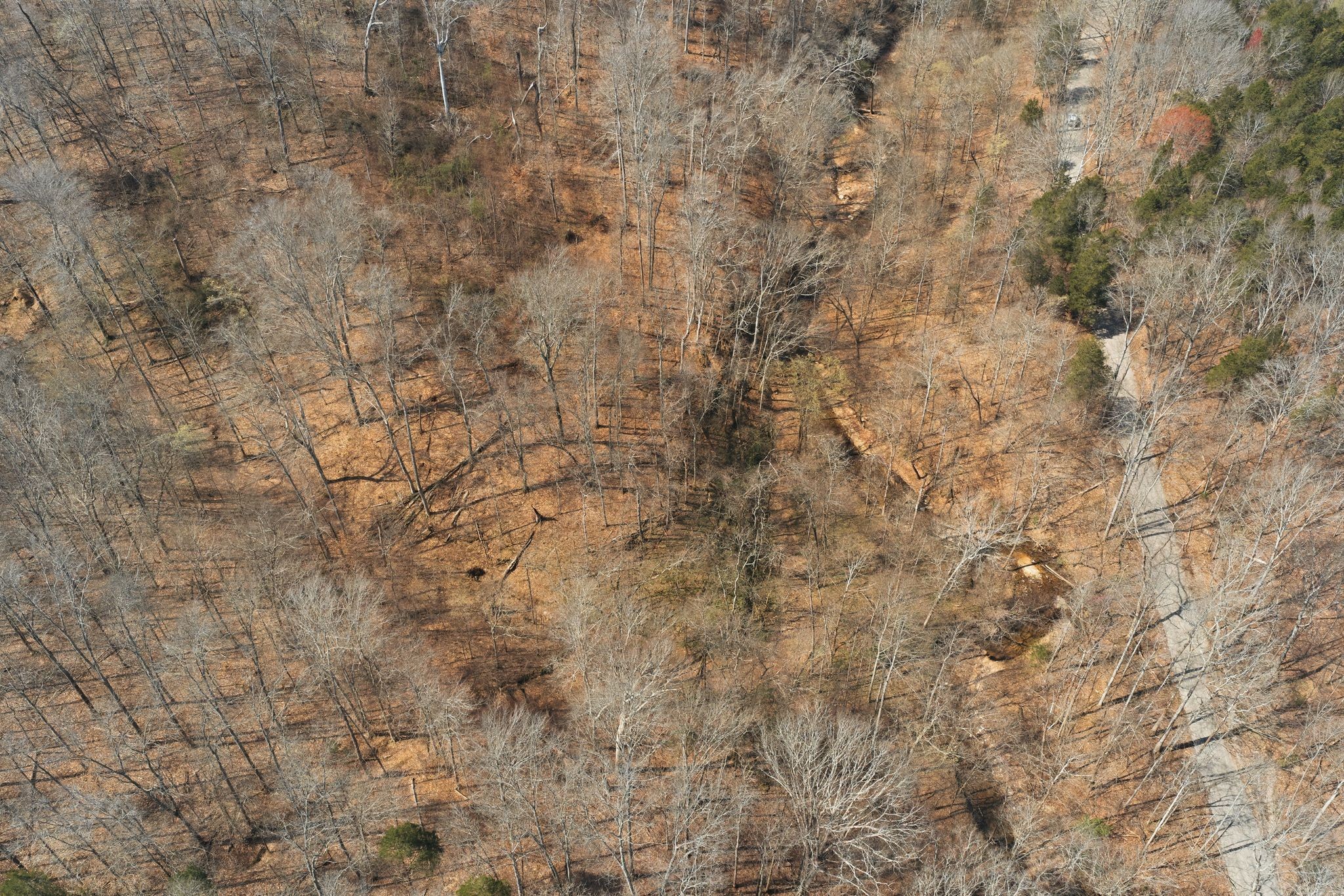 0 Cave Branch Road Dickson TN 37055