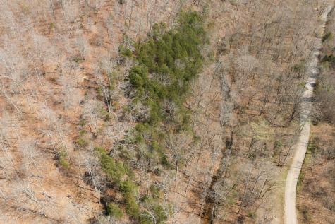 0 Cave Branch Road Dickson TN 37055