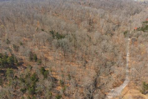 0 Cave Branch Road Dickson TN 37055