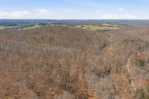 0 Cave Branch Road Dickson TN 37055