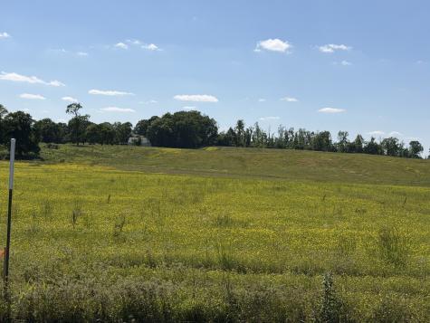 0 Pinson Road Springfield TN 37172