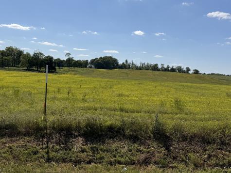 0 Pinson Road Springfield TN 37172
