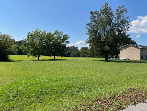 112 Garden Street Estill Springs TN 37330