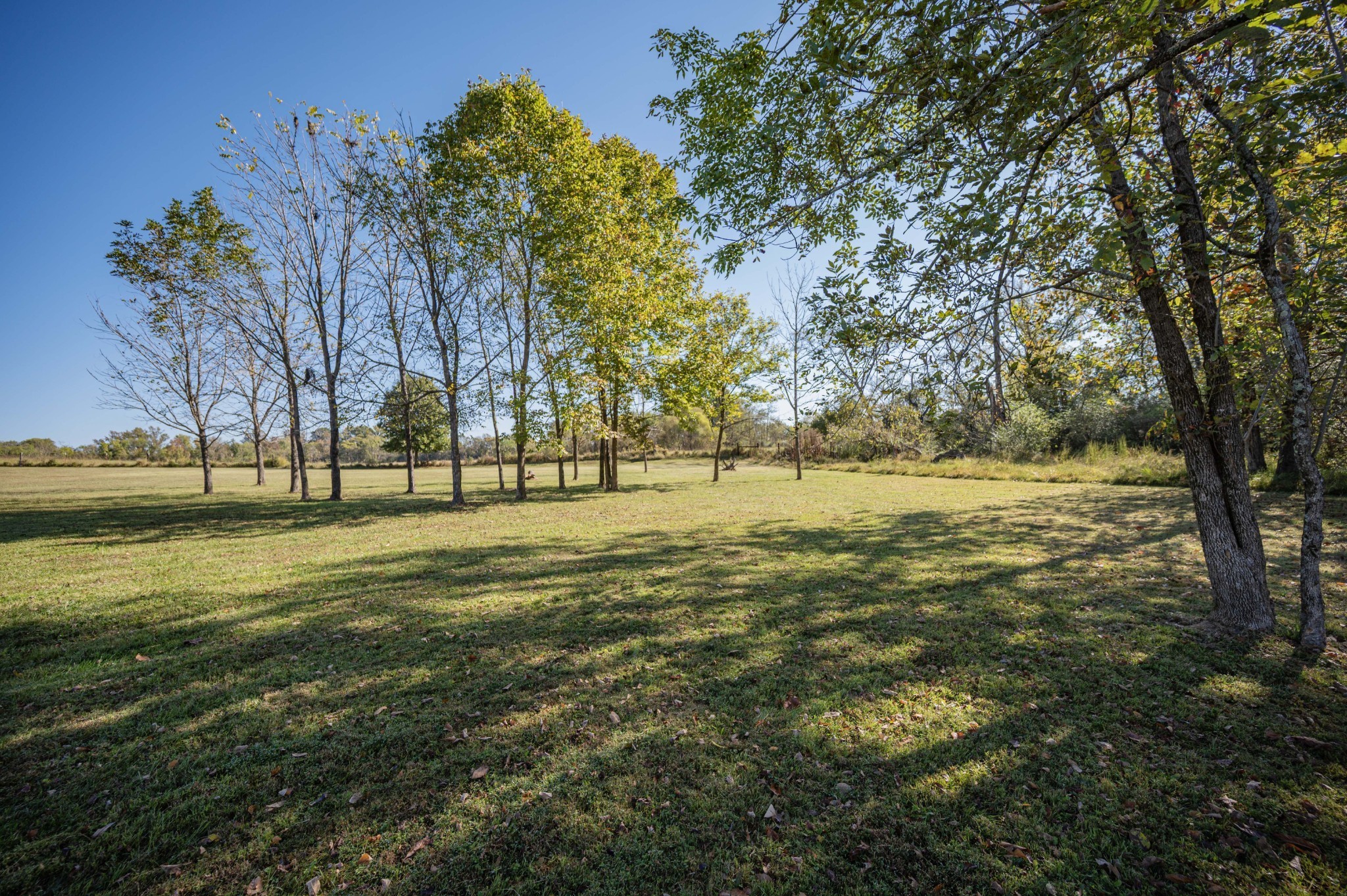 1027 Shimmering Way Gallatin TN 37066