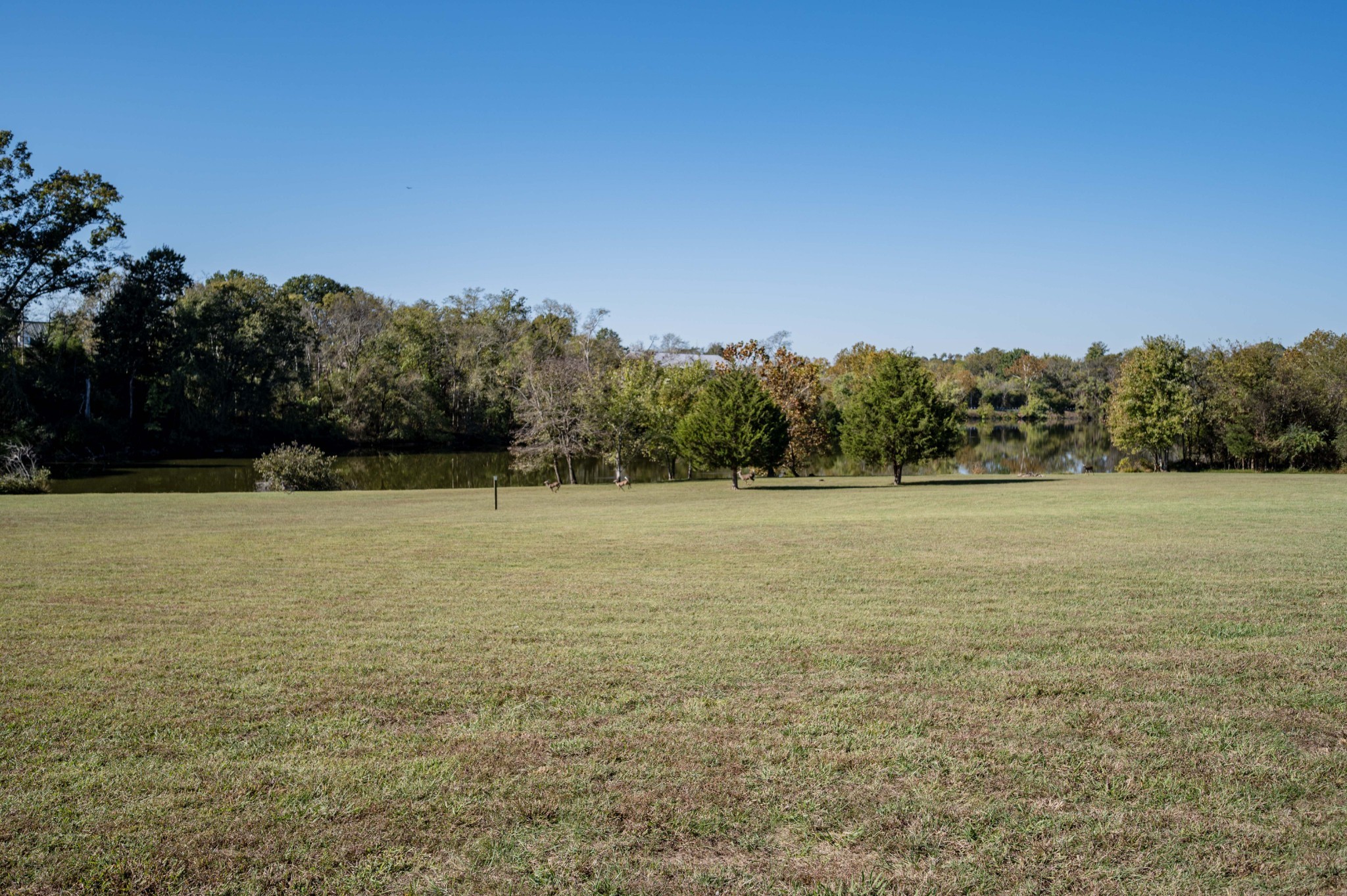 1027 Shimmering Way Gallatin TN 37066