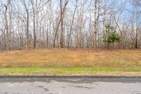 0 Riverwatch Trace Sparta TN 38583